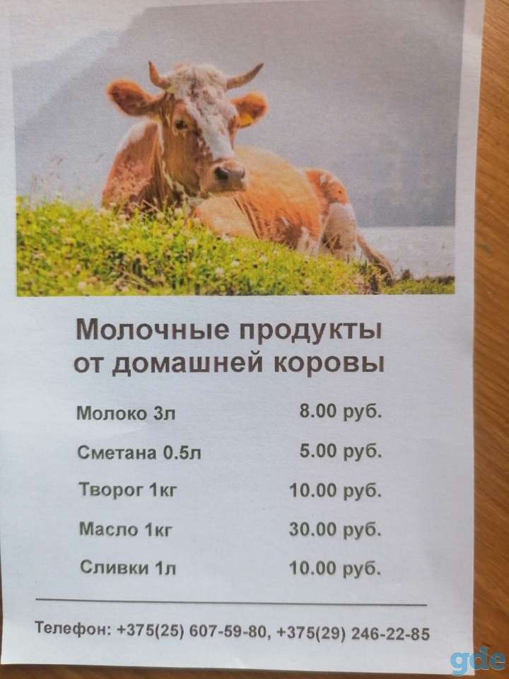 Молочные продукты, фотография 1