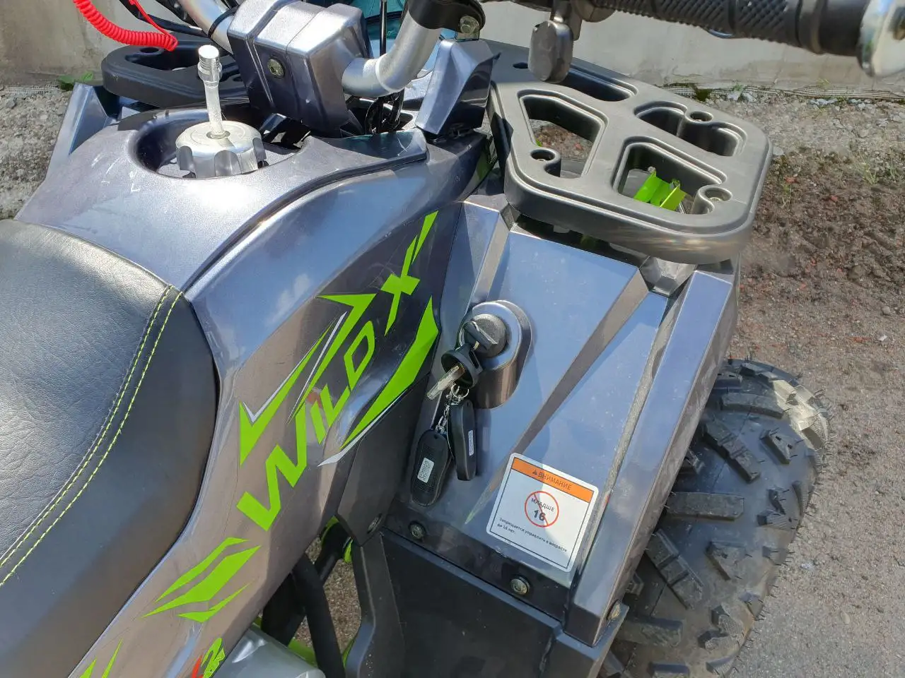 Квадроцикл Motoland Wild X 125cc, фотография 7