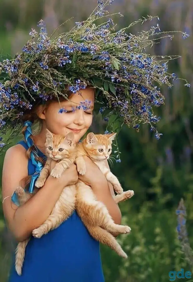Кошечку, в возрасте 3 месяца, в дар, фотография 3