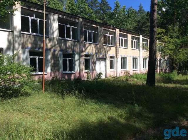 Земельный участок, д. Борец, фотография 8