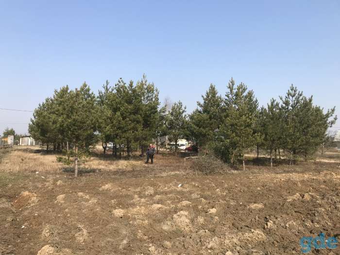 Покос,спил деревьев  окос,скос кустарников и травы., фотография 2