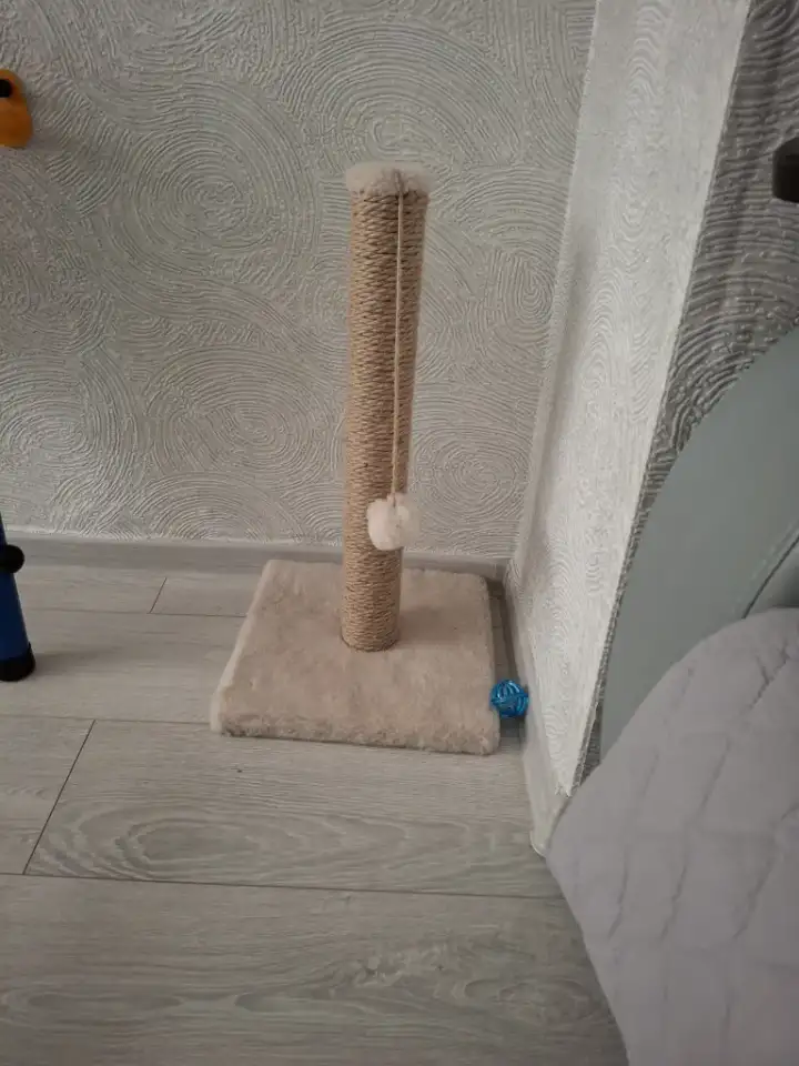 Котёнок, фотография 2