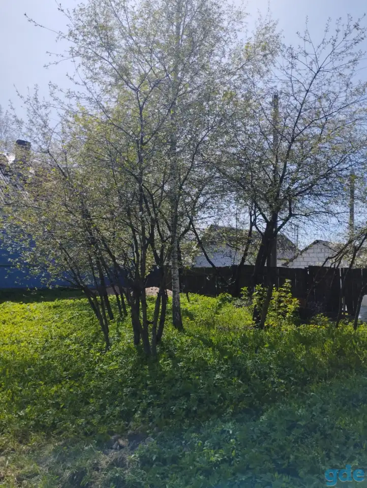 Участок ( дом-дача), Ул.Родниковая, 17, фотография 11