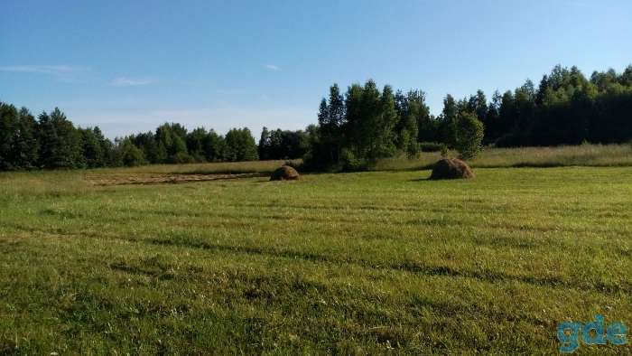 Продам два дома, Магилевская область, кастюковичиский район, п. Селецкое, ул. Центральная, д 5/2, фотография 10