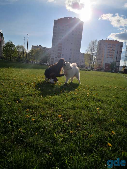 Вязка, фотография 6
