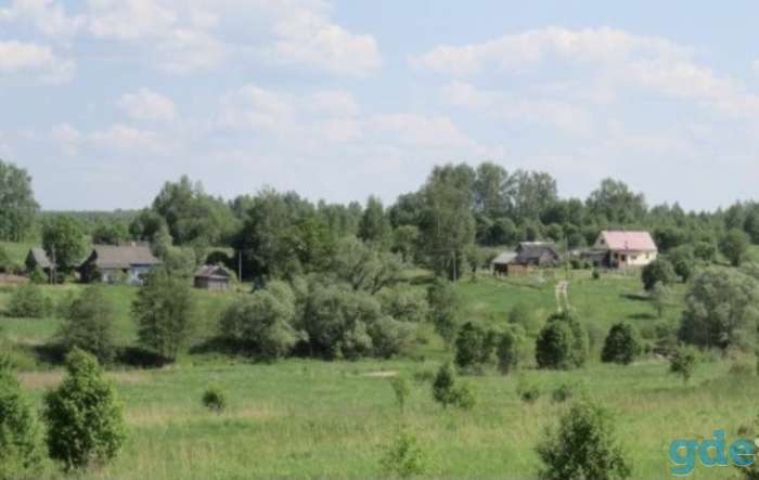 Продам землю 50 соток, фотография 1