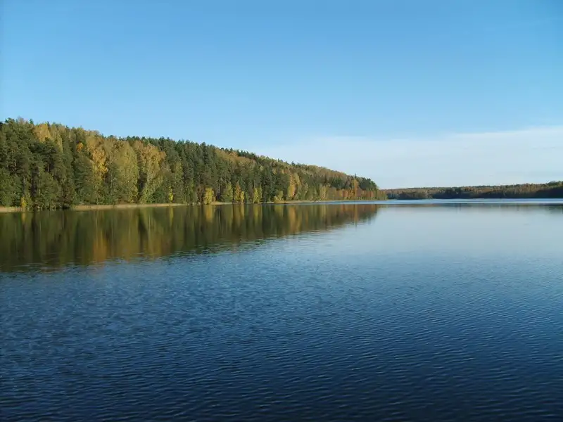 Продаю или обменяю дом на берегу лесного озера вблизи санатория, фотография 2