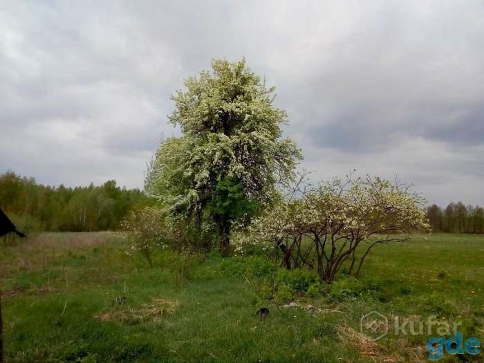 Дом со всеми коммуникациями под агроусадьбу или для проживания, фотография 9