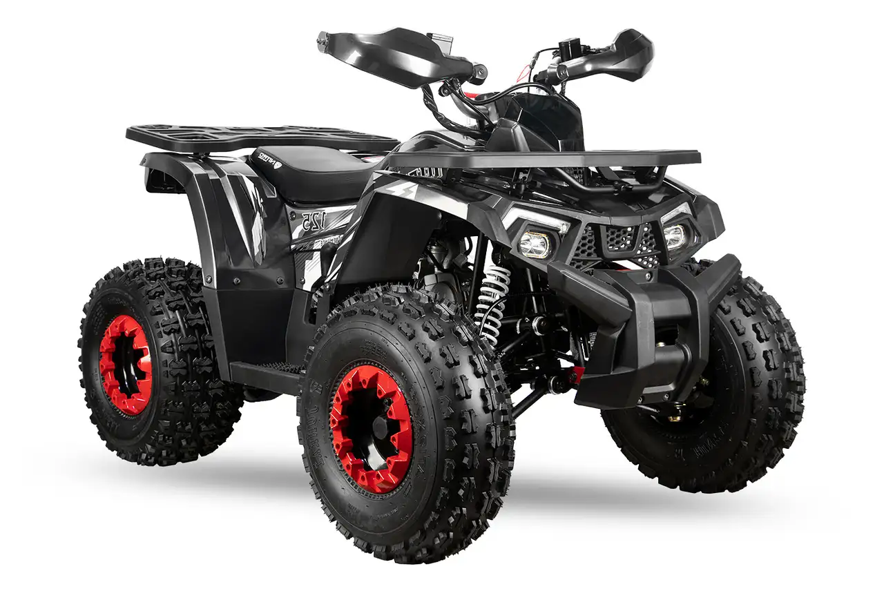 Квадроцикл amoto wild x pro 125, фотография 1
