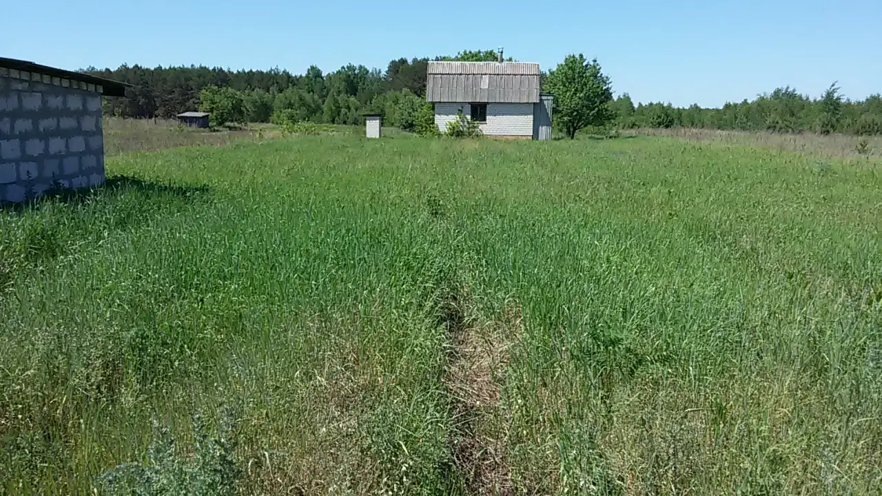 Продам дачный домик на участке 12 соток, фотография 1