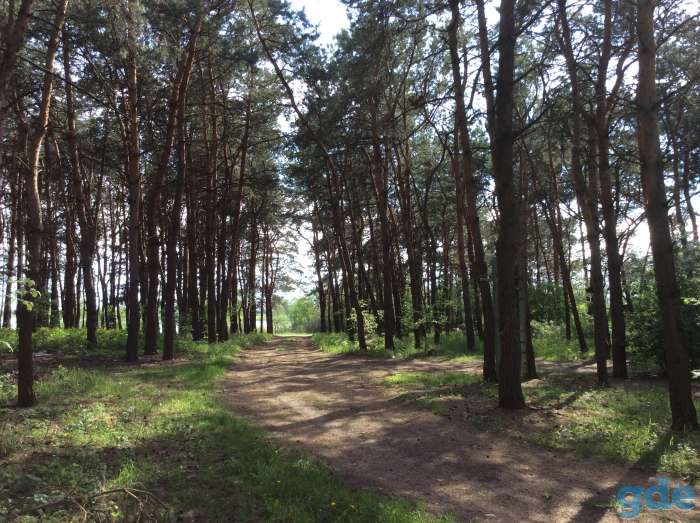 Дом на берегу озера 100 м2 + гостевой дом 80 м2, п.Городище , ул.Озерная , д.14, фотография 11