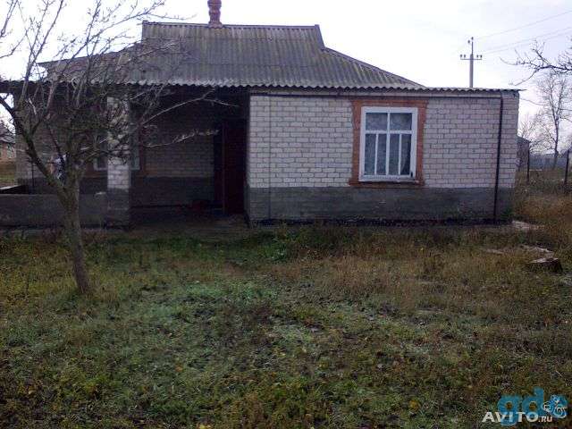 Дом у Азовского моря, фотография 3