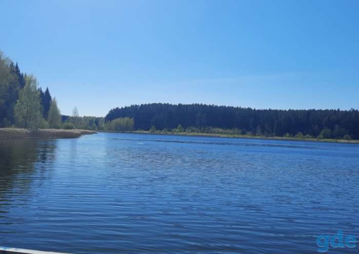 Продам дом деревня Лютка, фотография 6