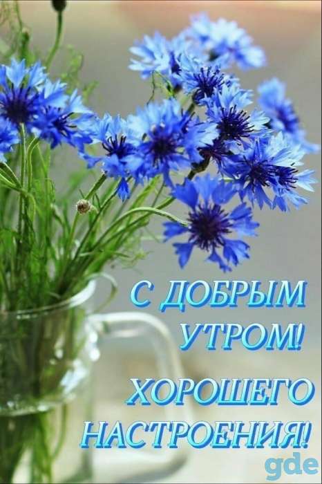 Клининг и строительство., фотография 1