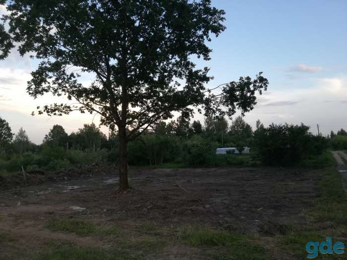 Участок дачный 10 соток, д. Мерковичи Логойского р-на, фотография 1