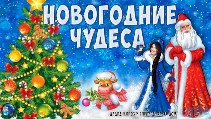 Дед Мороз и Снегурочка на дом, фотография 1