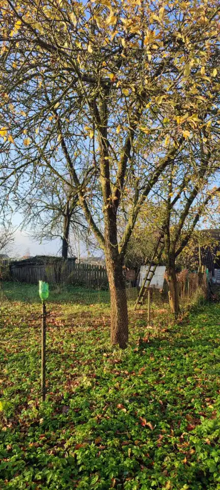 Продам дом, Деревня Лешня района Минская область, фотография 4
