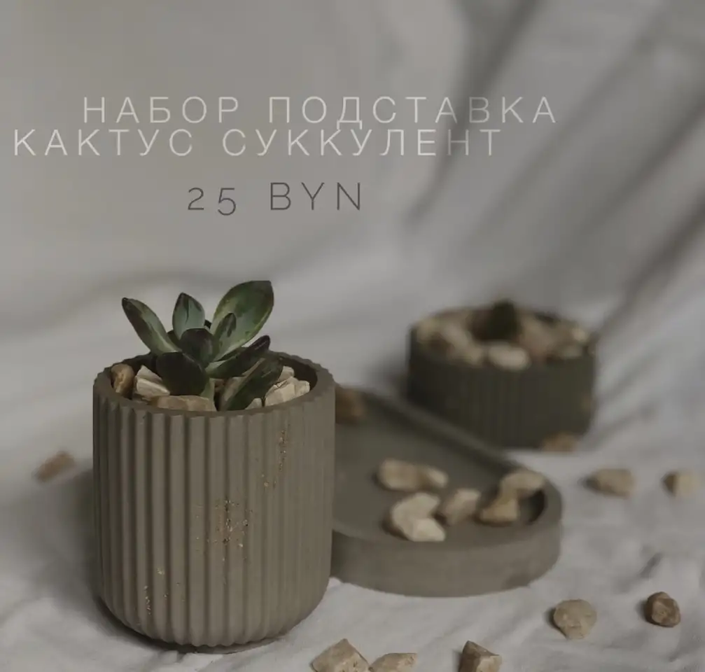 Растения, фотография 12