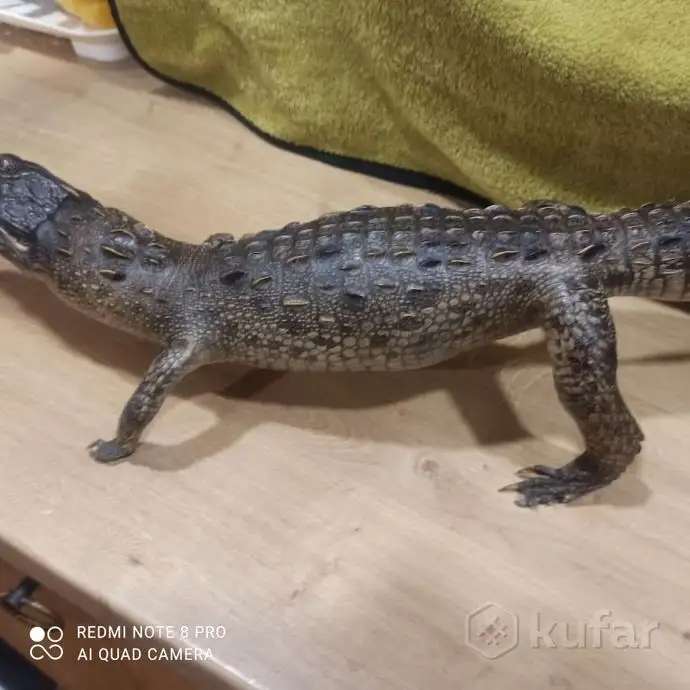 Чучело Крокодила. С Кубы Оригинал!, фотография 3