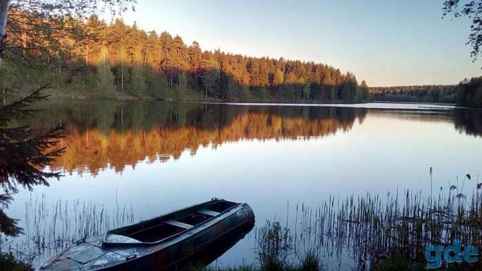 Отдых на берегу лесного озера, фотография 3