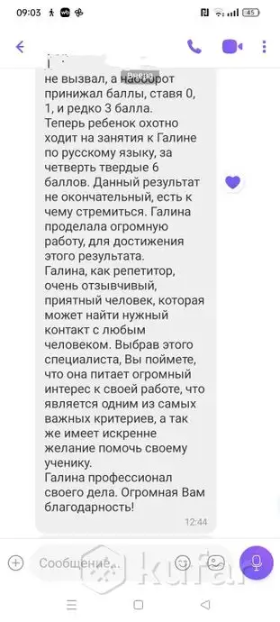 Репетитор по русскому языку и литературе, фотография 3