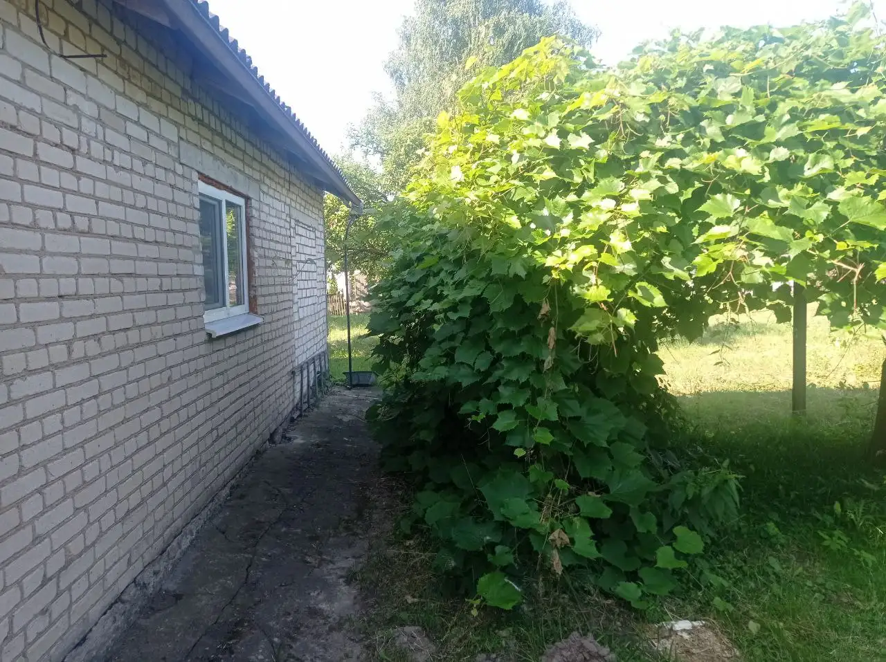 Частный дом, Минская область, Столбцовский район, д. Великий Двор, улица Демидовича, фотография 3