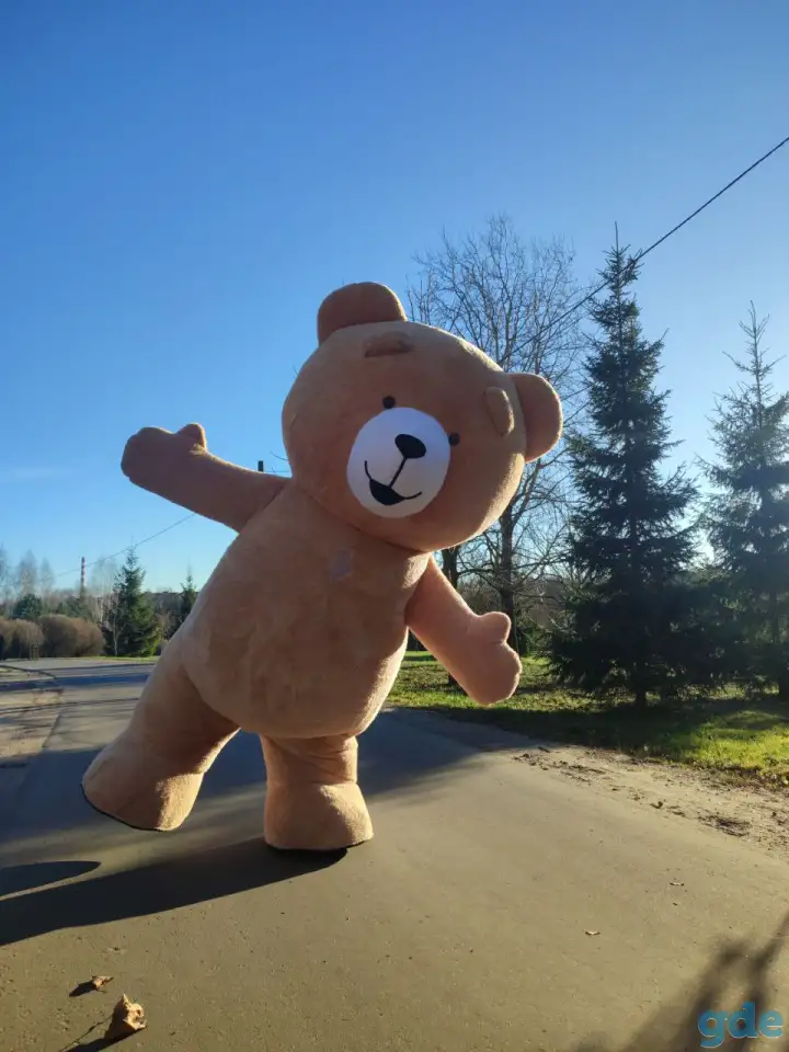 Поздравление от медведя на праздник, фотография 3