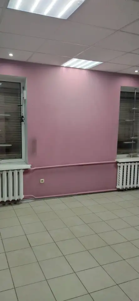Сдам в аренду нежилое помещение, пл. Ленина 15, фотография 5