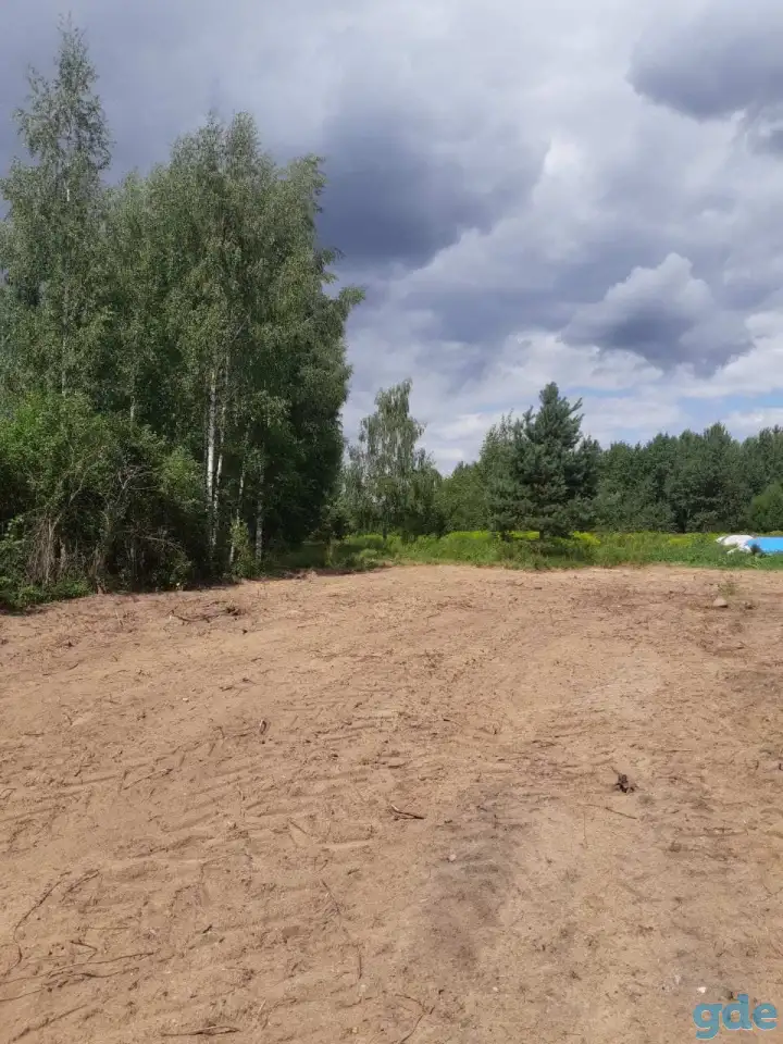 Ветхий дом, д. Светлица, ул. Октябрьская, д. 15, фотография 3