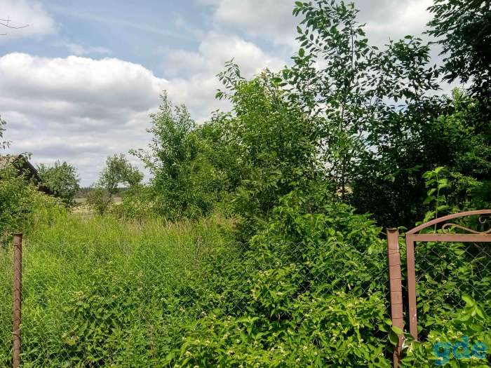 Покос травы, фотография 2