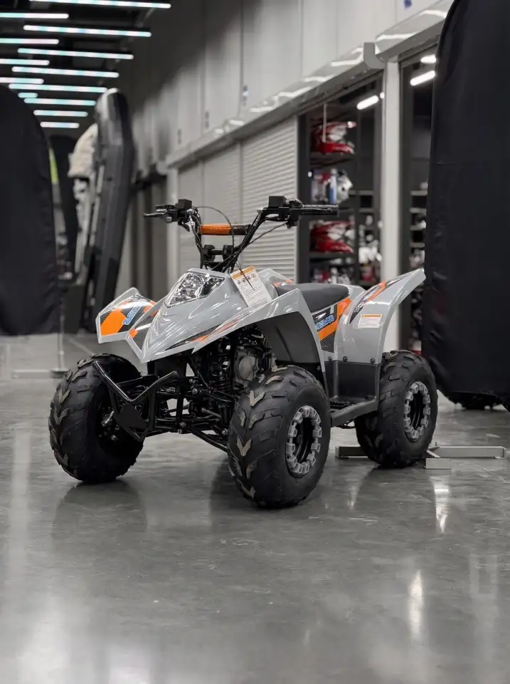 Квадроцикл Regulmoto SK11 (к-т з/ч), фотография 2