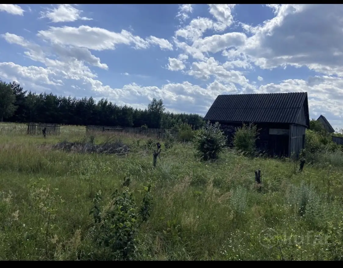 Дача в Пинском районе, садоводческое товарищество Эдельвейс, Плещицкий сельсовет, район, Брестс, фотография 5