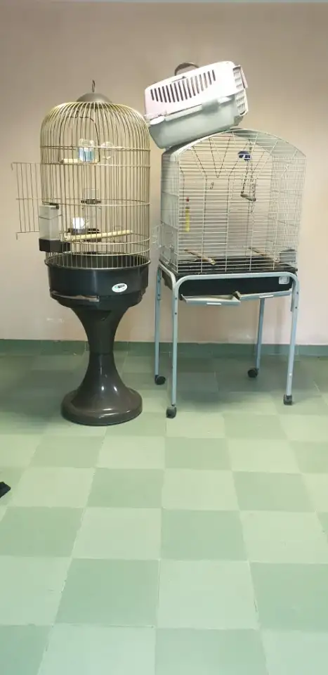 клетки для жакко, бу, практически новые., фотография 1