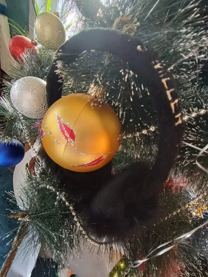 Наушники теплые женские меховые New year Miller time, фотография 3