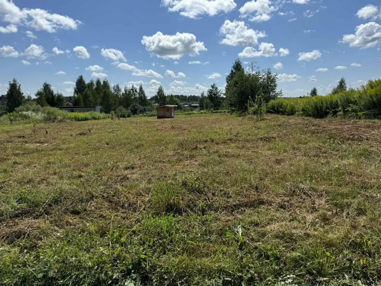 Продаю участок 15 соток в хорошем месте, с.т. Черница, фотография 3