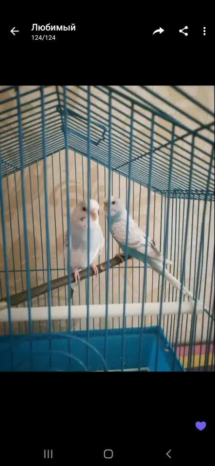 Продам, фотография 1