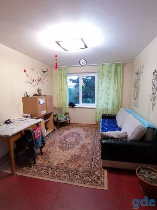 Продам однокомнатную квартиру, Партизанский п-т, фотография 3
