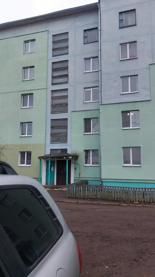 Квартира 4-х комнатная, д. Кривая Береза, фотография 10