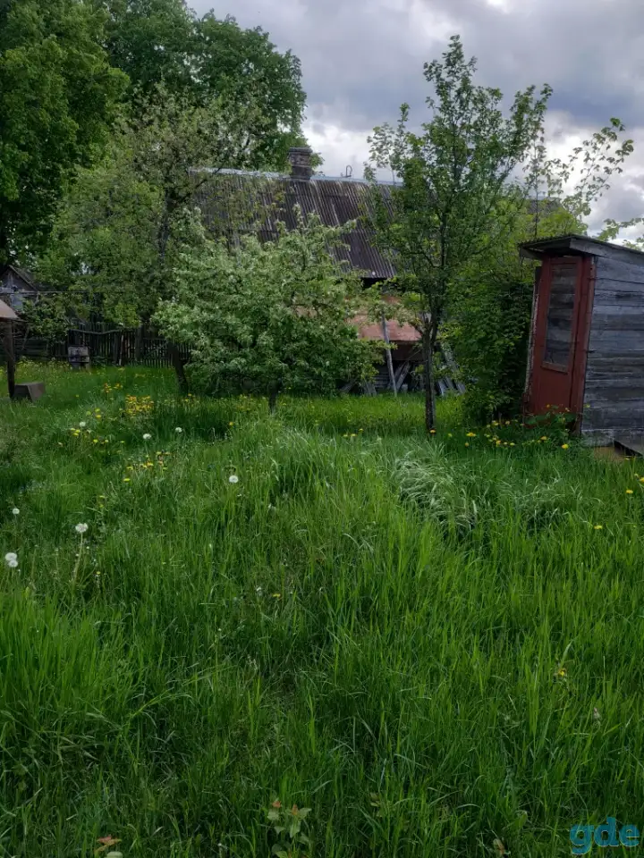 продам дом в а.г. Протасевичи, Осиповичский р-н, фотография 6