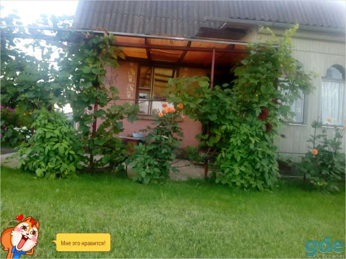 продам дачу, д.Боровцы, фотография 4