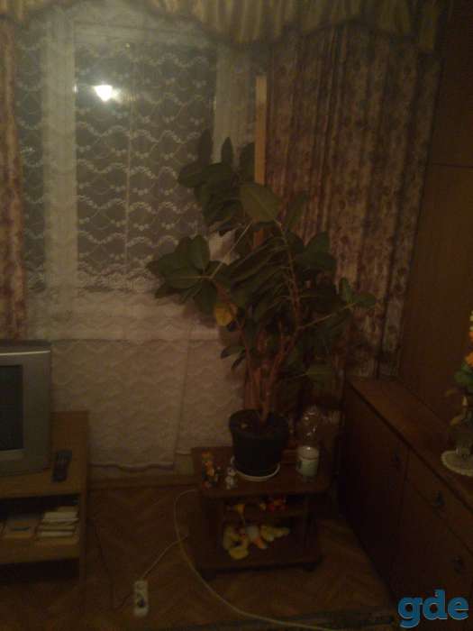 Задам комнату, Берута, фотография 1
