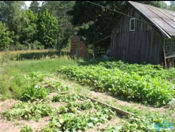 Продается дом в д. Хорошие Бобруйский район, фотография 3