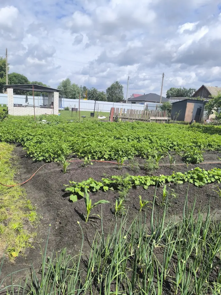 Продам дом, Гомельская область. Ул Интэрнациональная 29, фотография 19