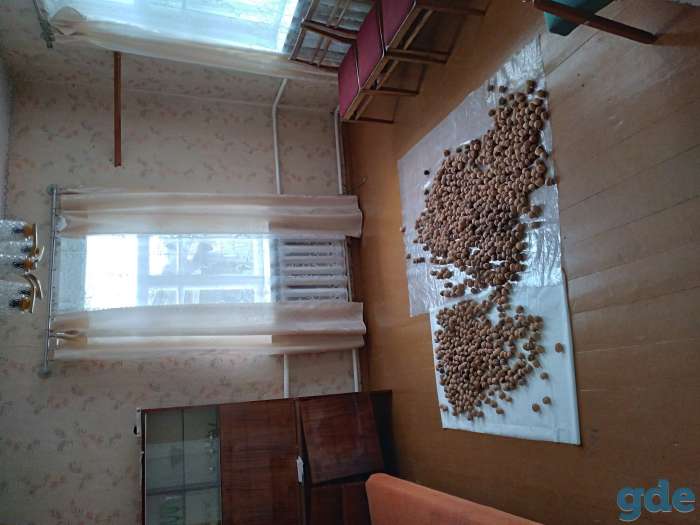 Продажа дома, фотография 7
