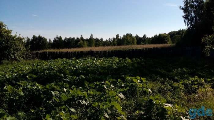 Продам два дома, Магилевская область, кастюковичиский район, п. Селецкое, ул. Центральная, д 5/2, фотография 9