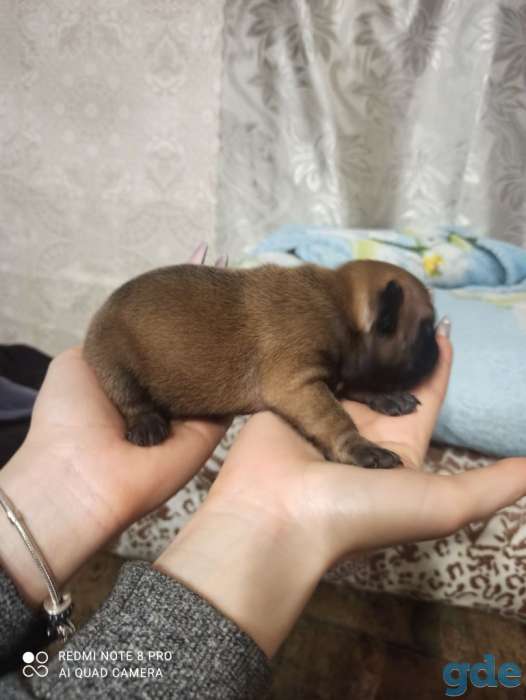 Продажа, фотография 7