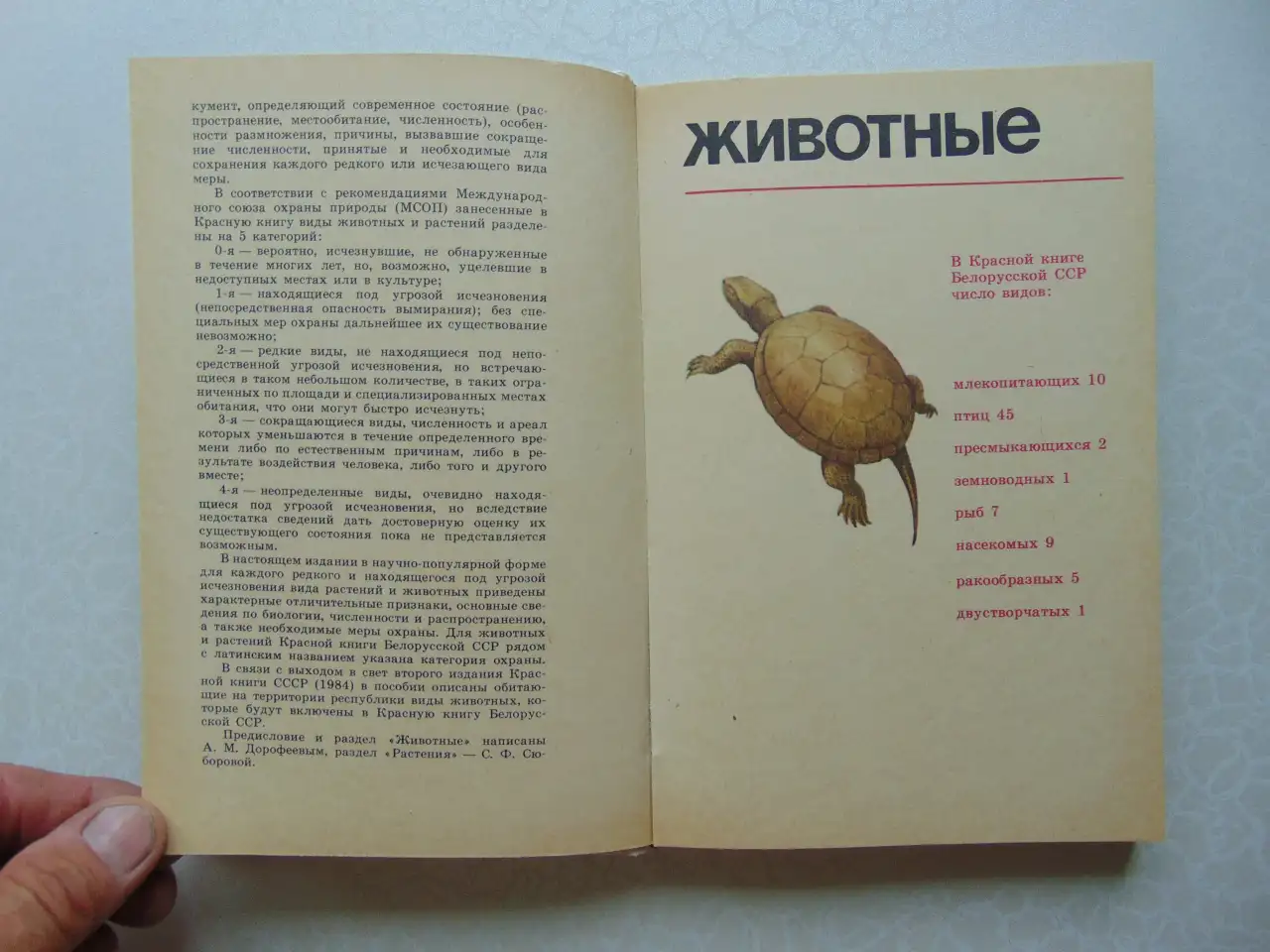 Они не должны исчезнуть. Животные, Растения, Минск, Народная Асвета,1987 год, Дорофеева, Сюборова, фотография 9
