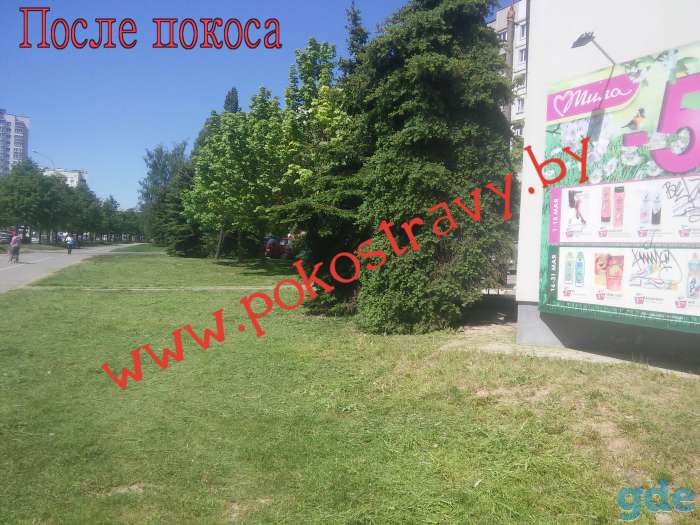 Покос травы и стрижка газона, скашивание бурьяна в Минске и области, фотография 2