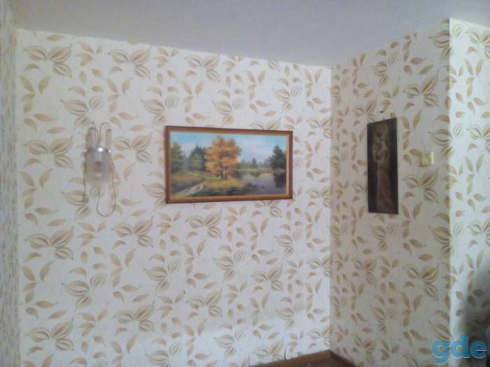 квартира недорого, петриковский р-он пос. мышанка, фотография 2