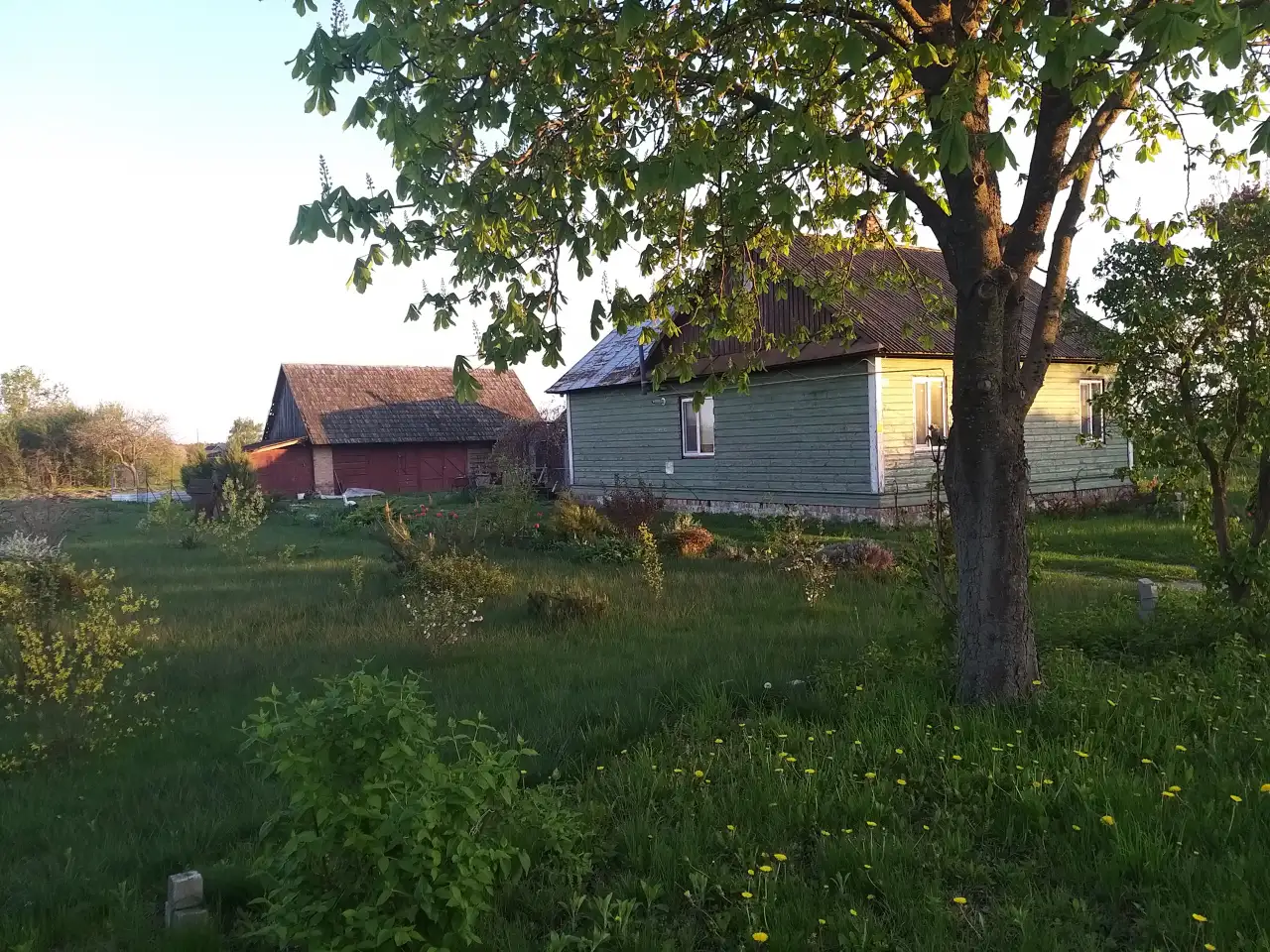 Продам дом, Брестская область, район, д.Андроново, фотография 1